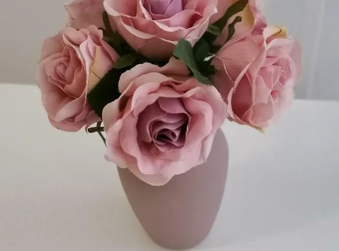 Zdenka Апартаменты