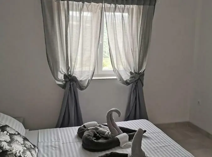 Zdenka 诺维·维诺多尔斯基